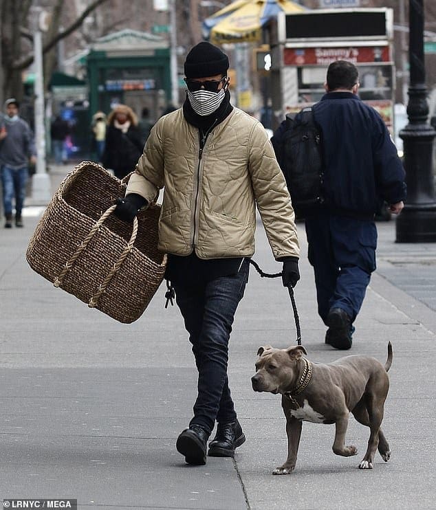 Justin Theroux holds an enormous basket as he walks his beloved save pup Kuma in NYC