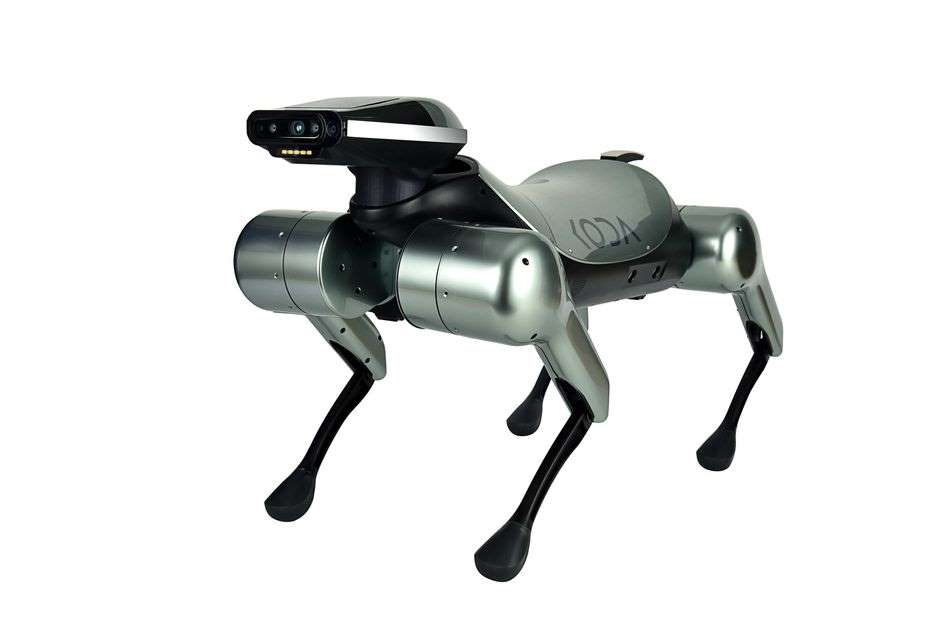 robot dog